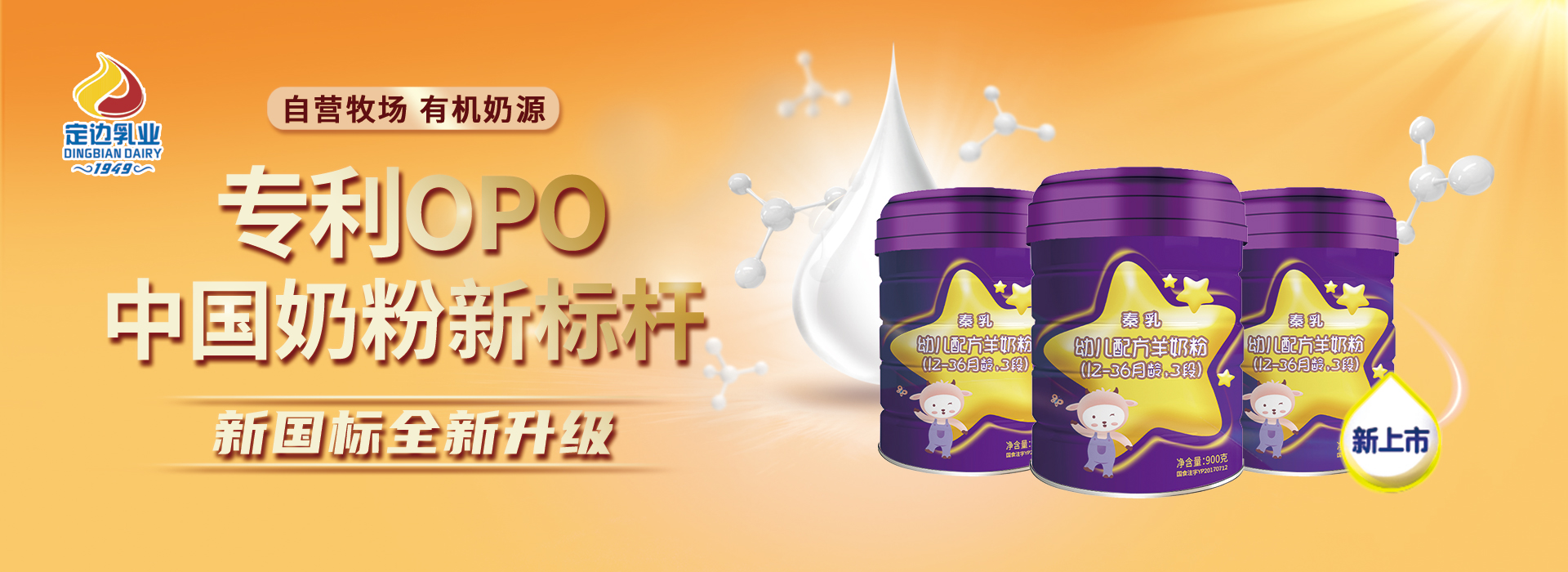 定邊乳業(yè)（全稱(chēng)：陜西省定邊縣乳品實(shí)業(yè)有限公司），是一家專(zhuān)業(yè)的乳制品制造商，專(zhuān)注乳品的研發(fā)和經(jīng)營(yíng)。